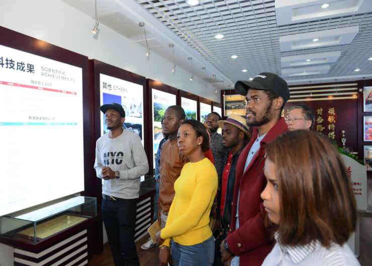 k8����������Ӯ�ҡ�һ������(�й���)�ٷ���վ