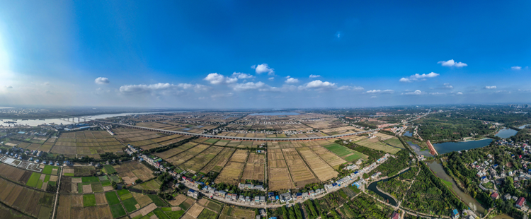 20231019310818.png 伍益高速照片(白泥湖大桥东侧引桥)_副本.png